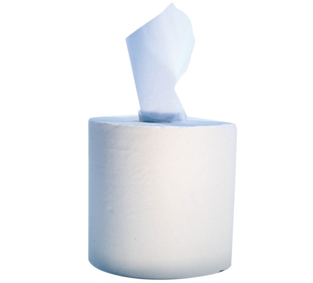 BOBINE ESSUIE-TOUT INDUSTRIEL BLANC 450 F