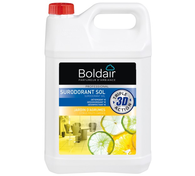 PRODUIT DETERGENT DESINFECTANT JEX PROFESSIONNEL TRIPLE ACTION SOLEIL DE CORSE 5 L