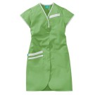 BLOUSE PROFESSIONNELLE FEMME DAPHNEE VERT/BLANC 