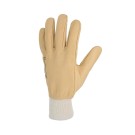 GANTS DE MANUTENTION CUIR 50 EFBBC