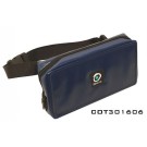 LOT 6 SACOCHES CEINTURE COT301606