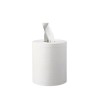 BOBINE ESSUIE-TOUT INDUSTRIEL BLANC 450 F DÉVIDAGE CENTRAL